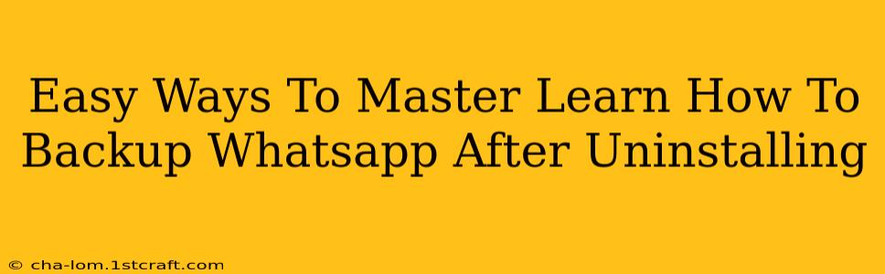 Easy Ways To Master Learn How To Backup Whatsapp After Uninstalling