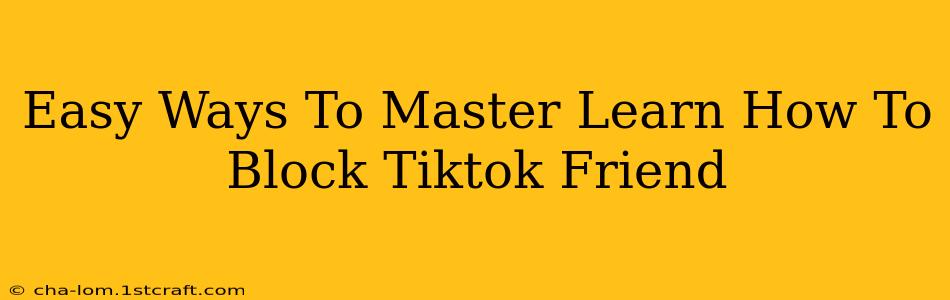 Easy Ways To Master Learn How To Block Tiktok Friend