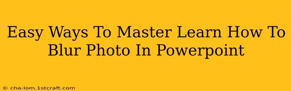 Easy Ways To Master Learn How To Blur Photo In Powerpoint