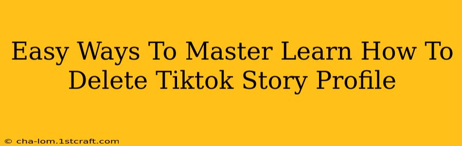 Easy Ways To Master Learn How To Delete Tiktok Story Profile