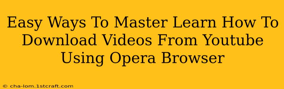 Easy Ways To Master Learn How To Download Videos From Youtube Using Opera Browser