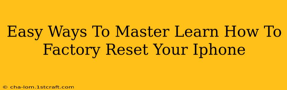 Easy Ways To Master Learn How To Factory Reset Your Iphone