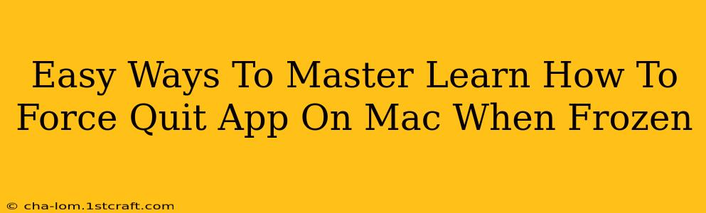 Easy Ways To Master Learn How To Force Quit App On Mac When Frozen