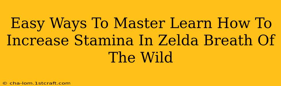 Easy Ways To Master Learn How To Increase Stamina In Zelda Breath Of The Wild