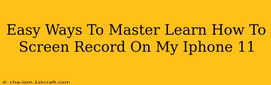 Easy Ways To Master Learn How To Screen Record On My Iphone 11