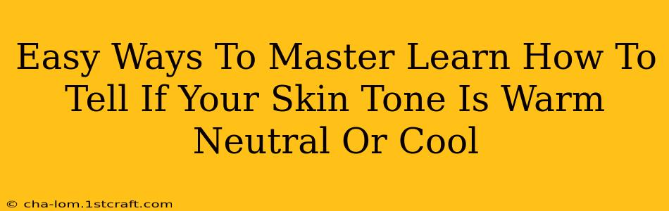 Easy Ways To Master Learn How To Tell If Your Skin Tone Is Warm Neutral Or Cool