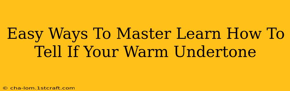 Easy Ways To Master Learn How To Tell If Your Warm Undertone