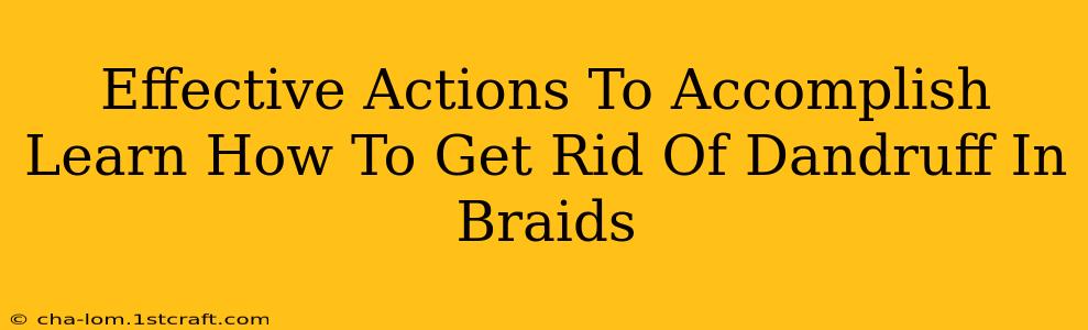 Effective Actions To Accomplish Learn How To Get Rid Of Dandruff In Braids