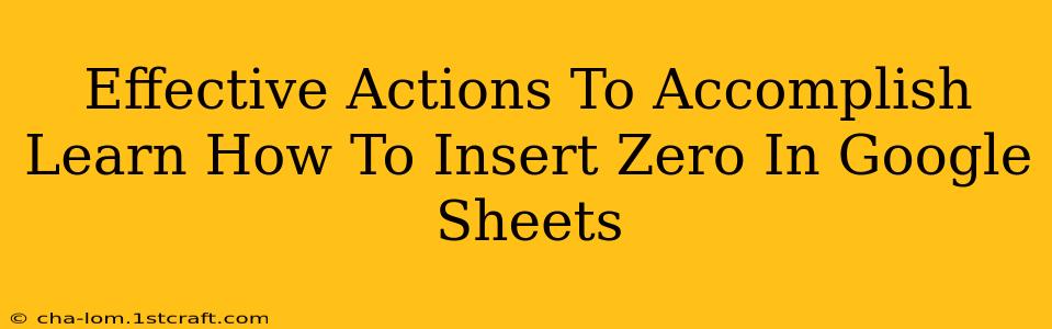 Effective Actions To Accomplish Learn How To Insert Zero In Google Sheets