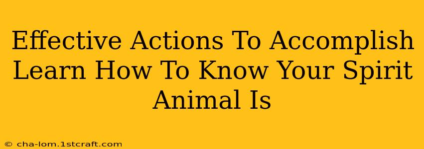 Effective Actions To Accomplish Learn How To Know Your Spirit Animal Is