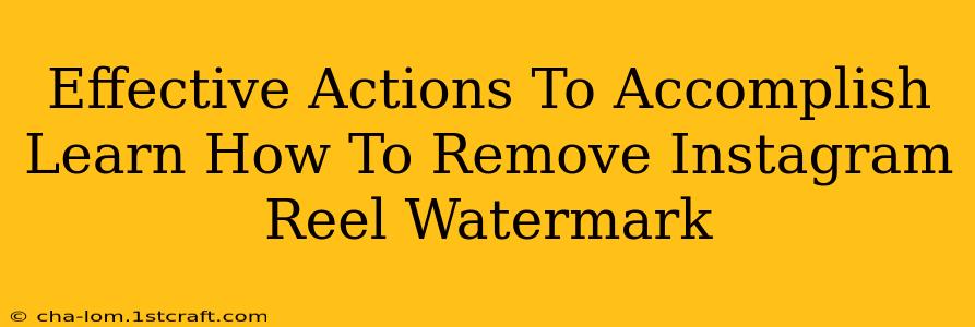 Effective Actions To Accomplish Learn How To Remove Instagram Reel Watermark