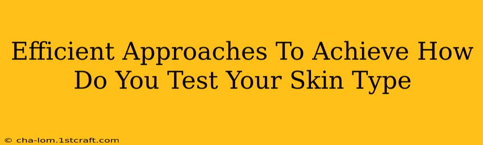 Efficient Approaches To Achieve How Do You Test Your Skin Type