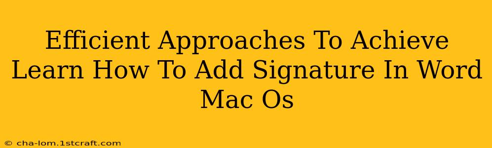 Efficient Approaches To Achieve Learn How To Add Signature In Word Mac Os