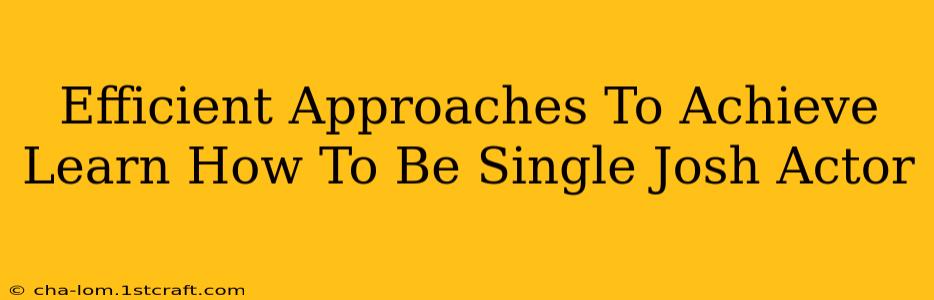 Efficient Approaches To Achieve Learn How To Be Single Josh Actor