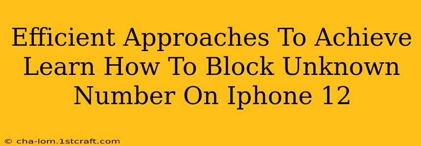 Efficient Approaches To Achieve Learn How To Block Unknown Number On Iphone 12