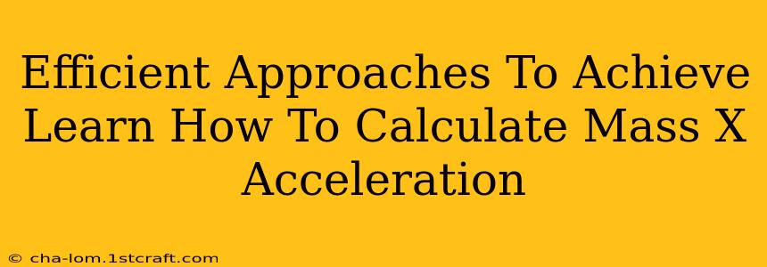 Efficient Approaches To Achieve Learn How To Calculate Mass X Acceleration