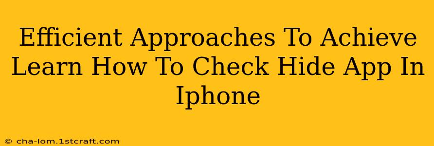 Efficient Approaches To Achieve Learn How To Check Hide App In Iphone