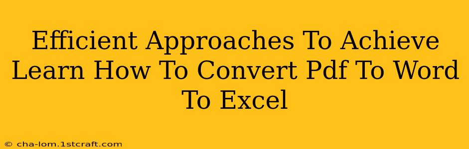 Efficient Approaches To Achieve Learn How To Convert Pdf To Word To Excel