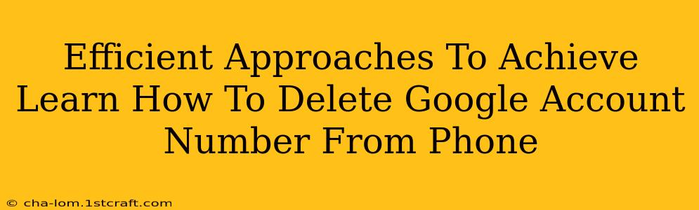 Efficient Approaches To Achieve Learn How To Delete Google Account Number From Phone