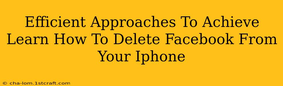 Efficient Approaches To Achieve Learn How To Delete Facebook From Your Iphone