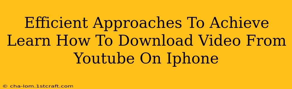 Efficient Approaches To Achieve Learn How To Download Video From Youtube On Iphone