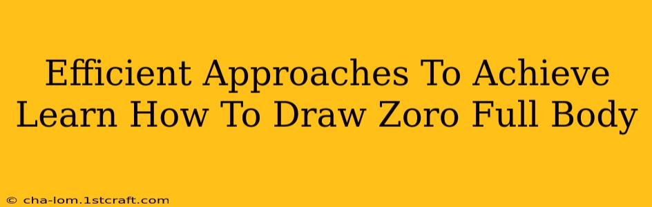 Efficient Approaches To Achieve Learn How To Draw Zoro Full Body