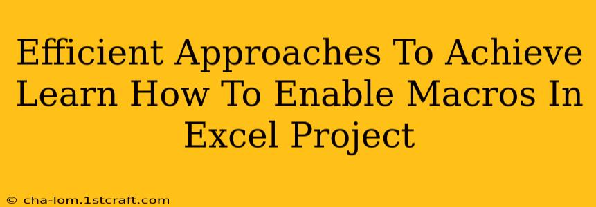 Efficient Approaches To Achieve Learn How To Enable Macros In Excel Project