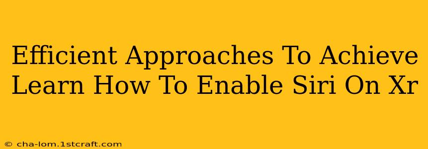 Efficient Approaches To Achieve Learn How To Enable Siri On Xr
