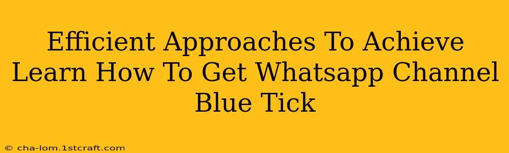 Efficient Approaches To Achieve Learn How To Get Whatsapp Channel Blue Tick