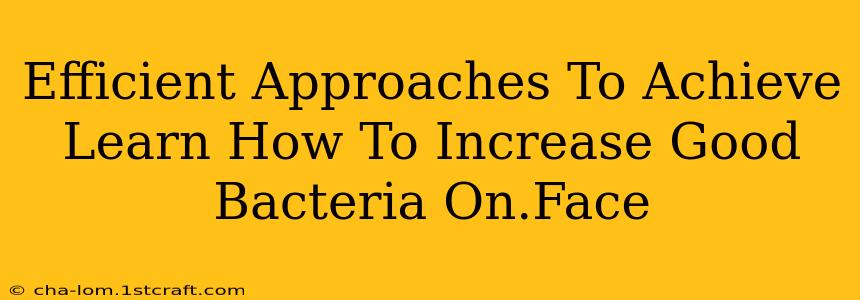 Efficient Approaches To Achieve Learn How To Increase Good Bacteria On.Face