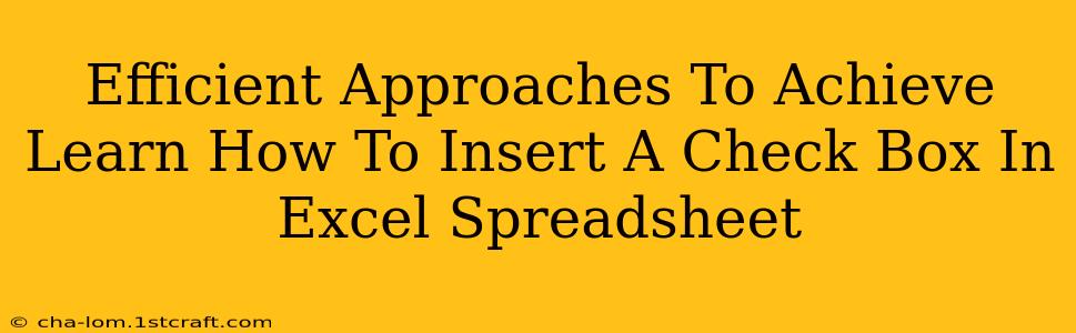 Efficient Approaches To Achieve Learn How To Insert A Check Box In Excel Spreadsheet