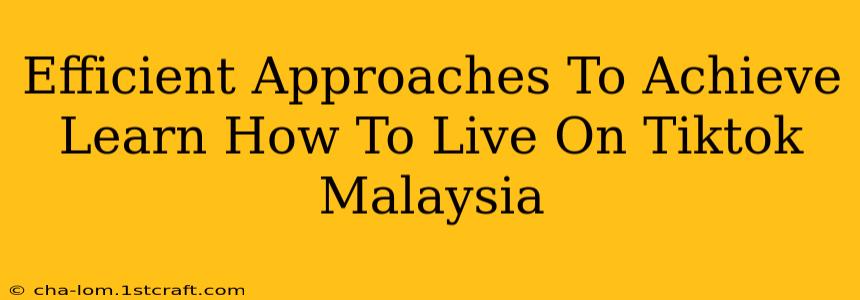 Efficient Approaches To Achieve Learn How To Live On Tiktok Malaysia