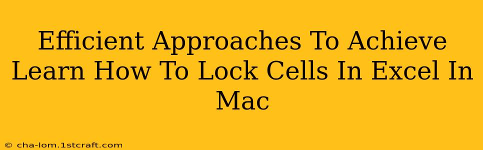 Efficient Approaches To Achieve Learn How To Lock Cells In Excel In Mac