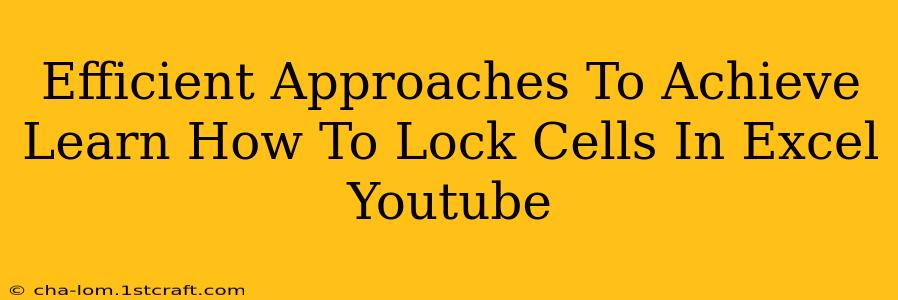 Efficient Approaches To Achieve Learn How To Lock Cells In Excel Youtube