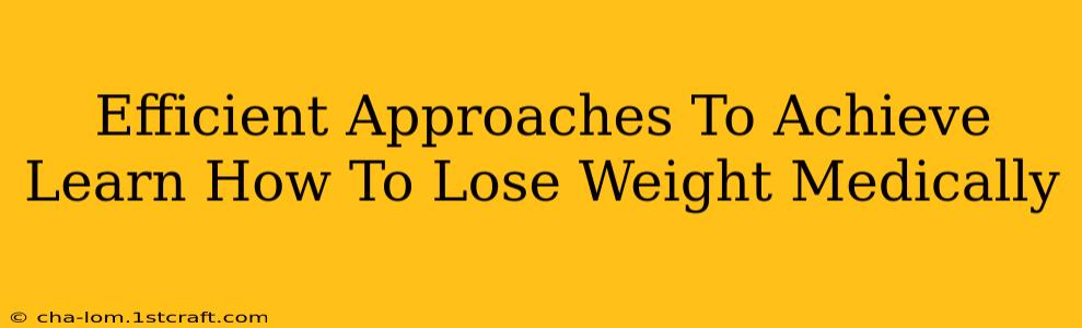 Efficient Approaches To Achieve Learn How To Lose Weight Medically