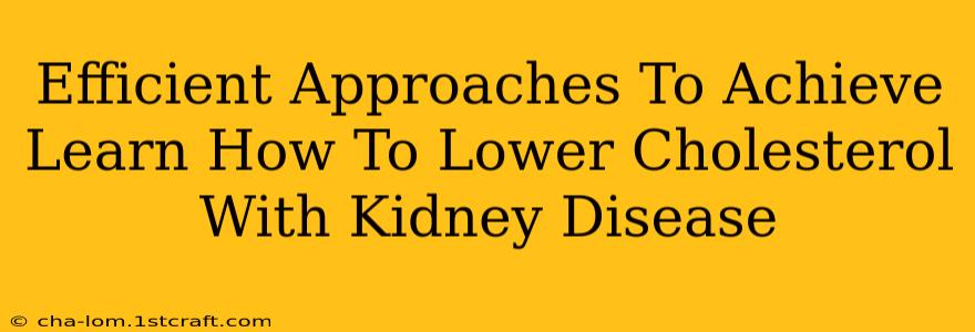 Efficient Approaches To Achieve Learn How To Lower Cholesterol With Kidney Disease