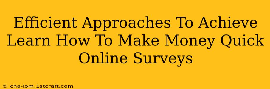 Efficient Approaches To Achieve Learn How To Make Money Quick Online Surveys