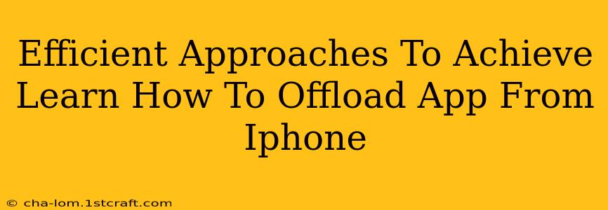 Efficient Approaches To Achieve Learn How To Offload App From Iphone