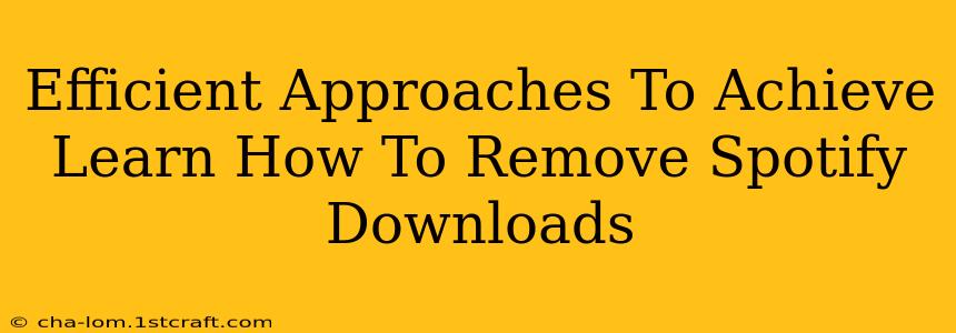 Efficient Approaches To Achieve Learn How To Remove Spotify Downloads