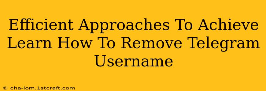 Efficient Approaches To Achieve Learn How To Remove Telegram Username