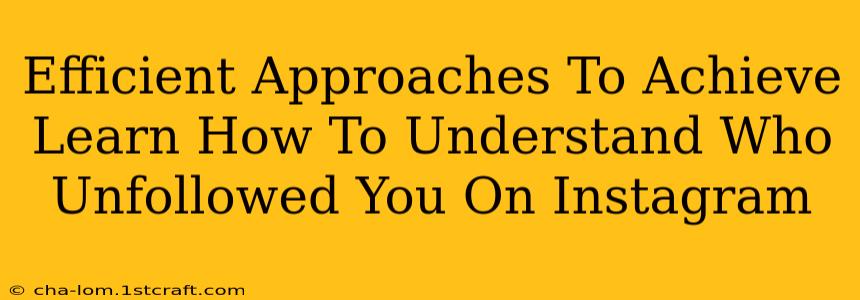 Efficient Approaches To Achieve Learn How To Understand Who Unfollowed You On Instagram