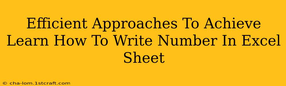 Efficient Approaches To Achieve Learn How To Write Number In Excel Sheet