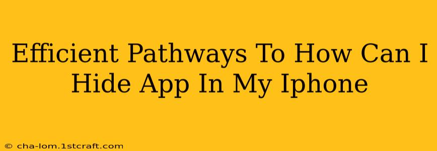 Efficient Pathways To How Can I Hide App In My Iphone