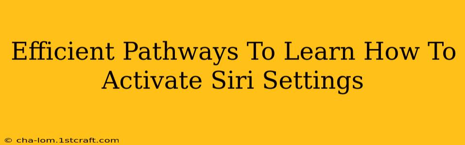 Efficient Pathways To Learn How To Activate Siri Settings