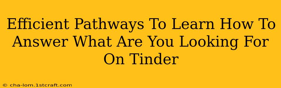 Efficient Pathways To Learn How To Answer What Are You Looking For On Tinder