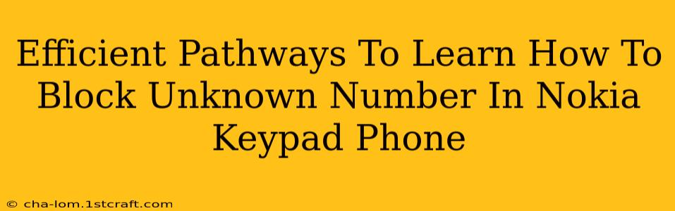 Efficient Pathways To Learn How To Block Unknown Number In Nokia Keypad Phone