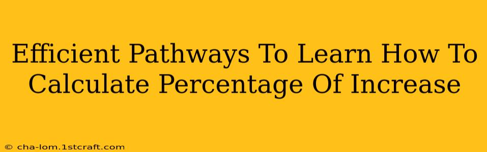 Efficient Pathways To Learn How To Calculate Percentage Of Increase