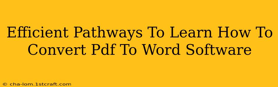 Efficient Pathways To Learn How To Convert Pdf To Word Software