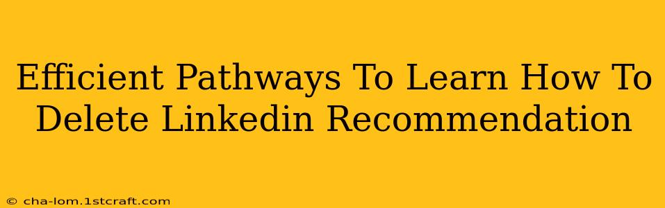 Efficient Pathways To Learn How To Delete Linkedin Recommendation