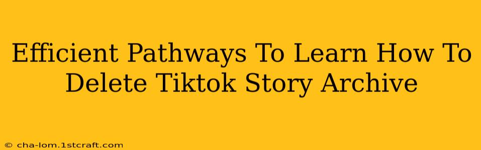 Efficient Pathways To Learn How To Delete Tiktok Story Archive